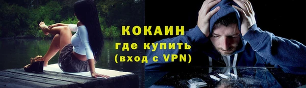 прущие крисы Балахна
