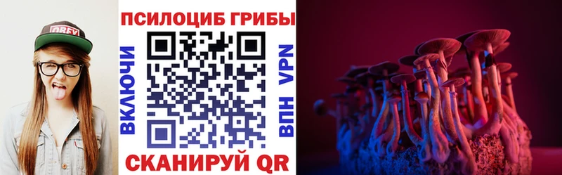 Галлюциногенные грибы Cubensis  цены   Светлоград 